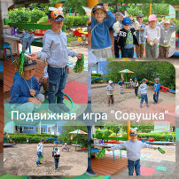 День подвижных игр День подвижных игр.