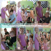Международный день шахмат Международный день шахмат.