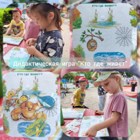 Экологическая неделя Экологическая неделя.