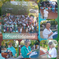 Проект поддержки местных инициатив Проект поддержки местных инициатив.