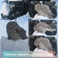 Необычная гостья Необычная гостья.