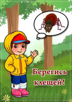Профилактика клещевых инфекций Профилактика клещевых инфекций.