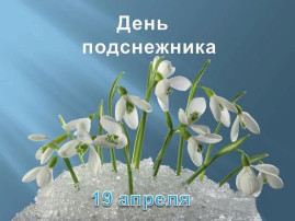 День подснежника День подснежника.