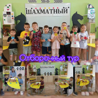 Шахматный турнир Шахматный турнир.