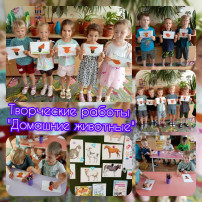 День диких и домашних животных День диких и домашних животных.