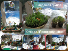 Весенний огород Эколят Весенний огород Эколят.