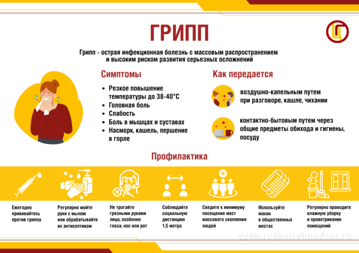 Профилактика гриппа Профилактика гриппа.