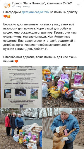 АКЦИЯ "Лапа помощи" АКЦИЯ "Лапа помощи".