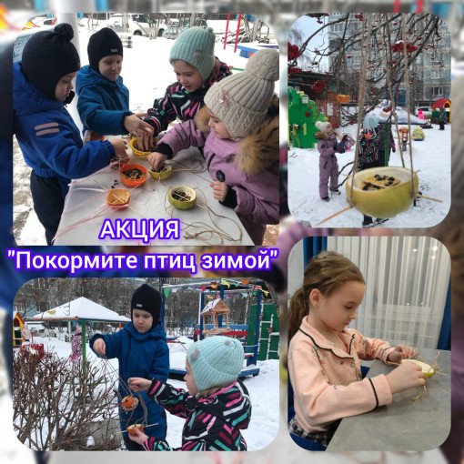 АКЦИЯ "Покормите птиц зимой" АКЦИЯ "Покормите птиц зимой".