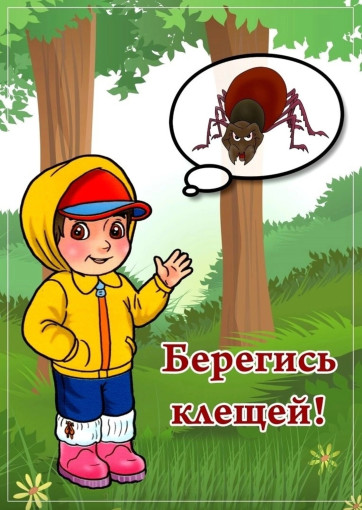 Профилактика клещевых инфекций Профилактика клещевых инфекций.