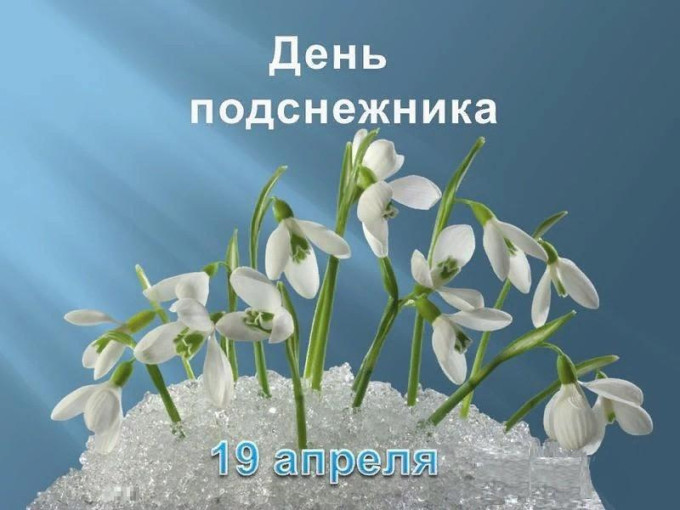 День подснежника День подснежника.